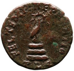 Constans