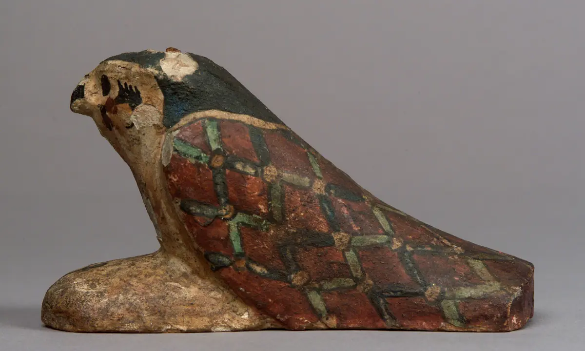 Achom-Falke