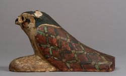 Achom-Falke