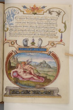 Schriftmusterbuch; 127 Blatt Pergament