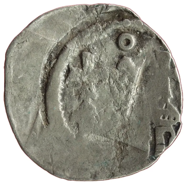 Herzöge von Kärnten / Herren von Krain: Bernhard (1202–1256)
