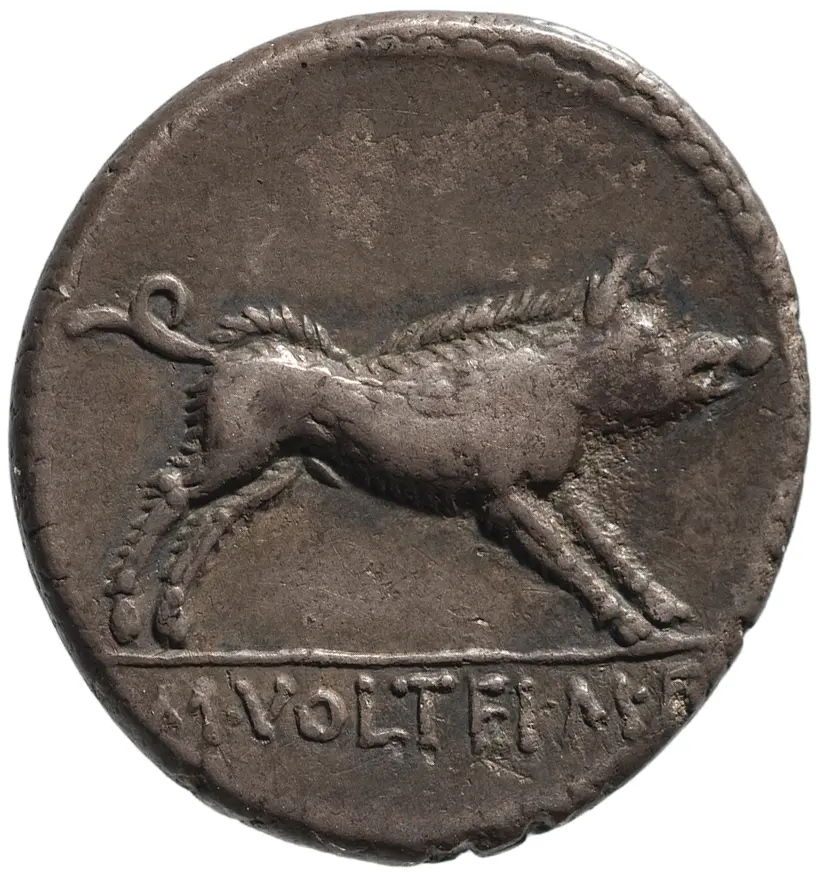 Röm. Republik: M. Volteius