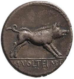 Röm. Republik: M. Volteius
