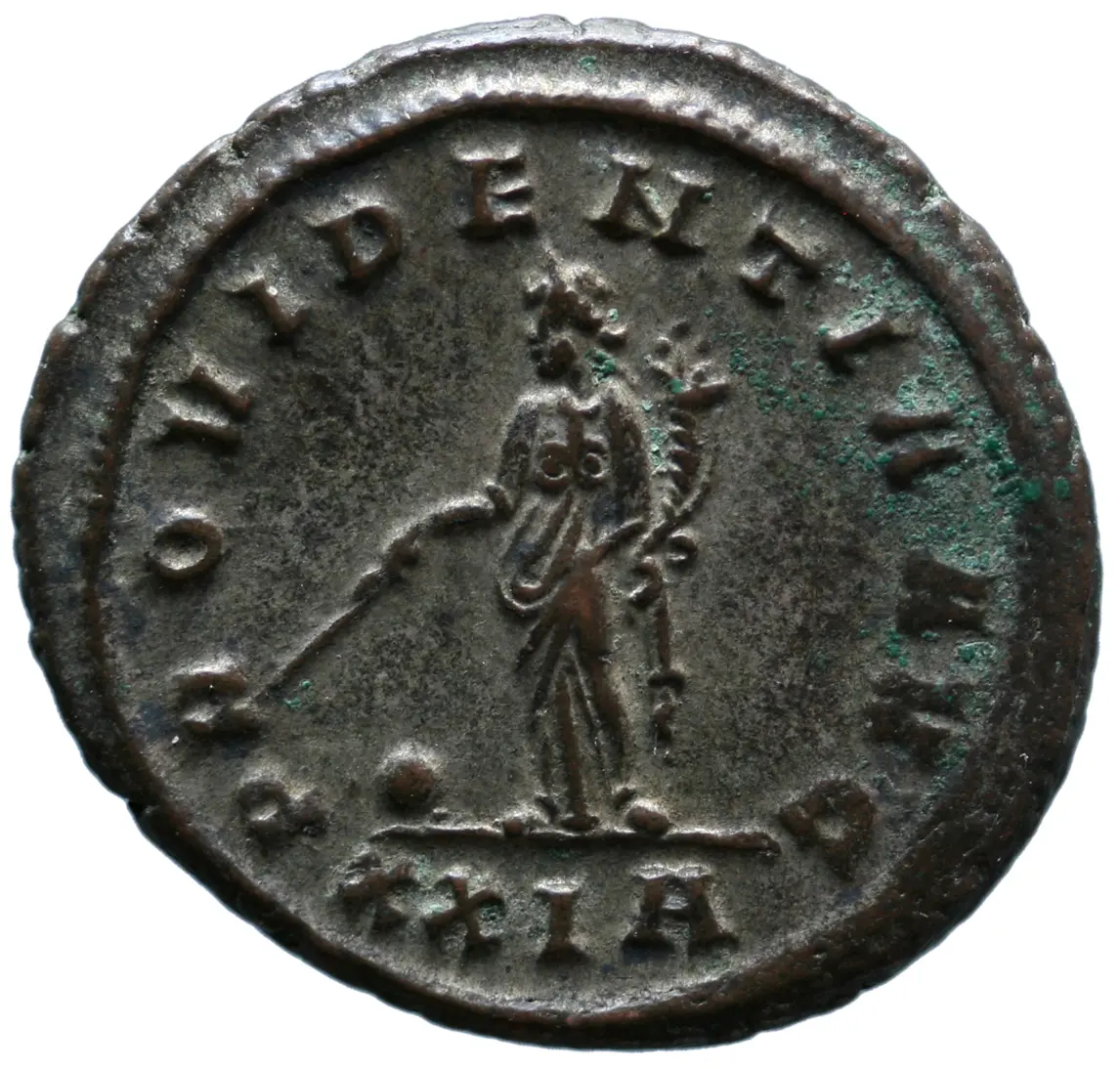Probus