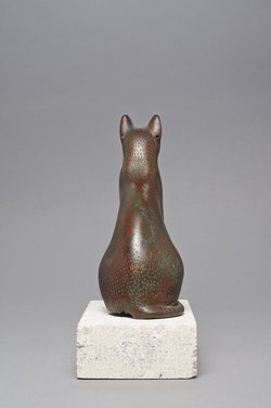 Sitzende Katze
