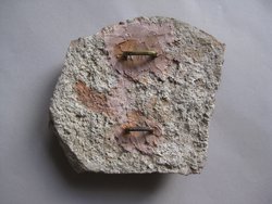 Fragment einer Aufsatzplatte(?): Pelops und Hippodameia im Wagen