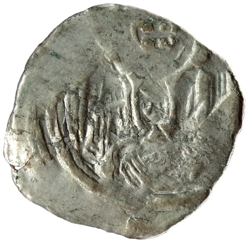 Herzöge von Kärnten / Herren von Krain: Bernhard (1202–1256)