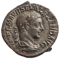 Severus Alexander