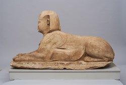 Serapeumssphinx