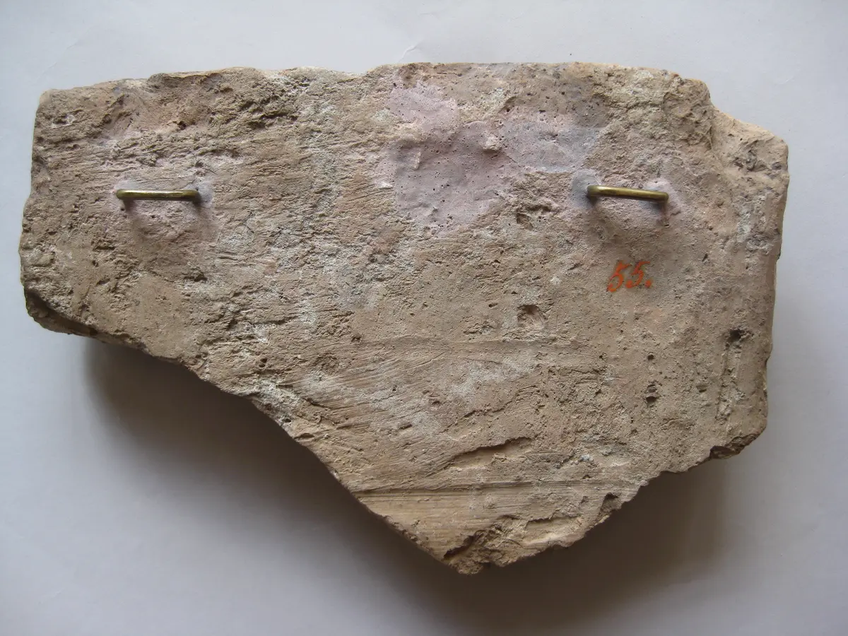 Fragment einer Sima: Erosknabe mit Fruchtgirlande
