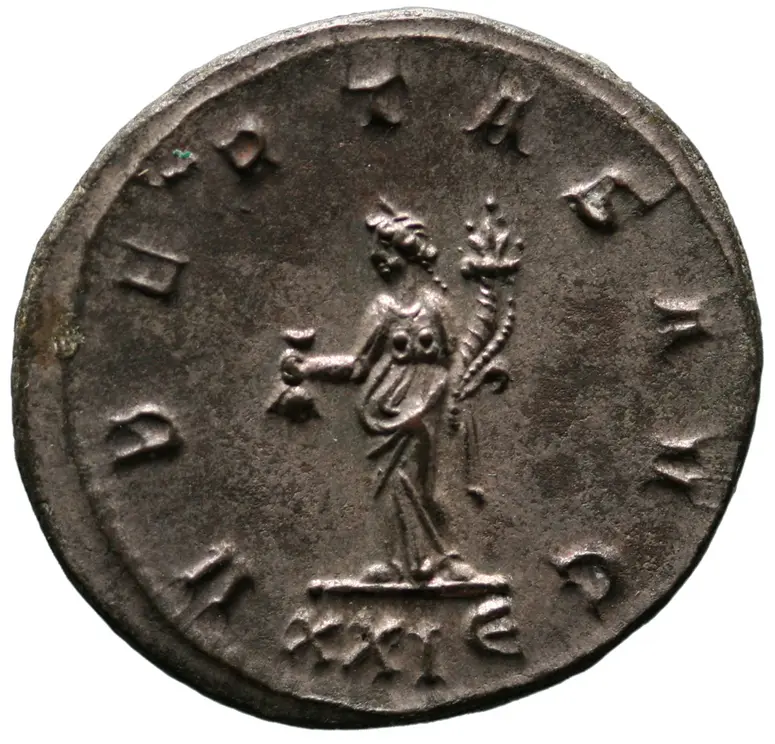 Münze