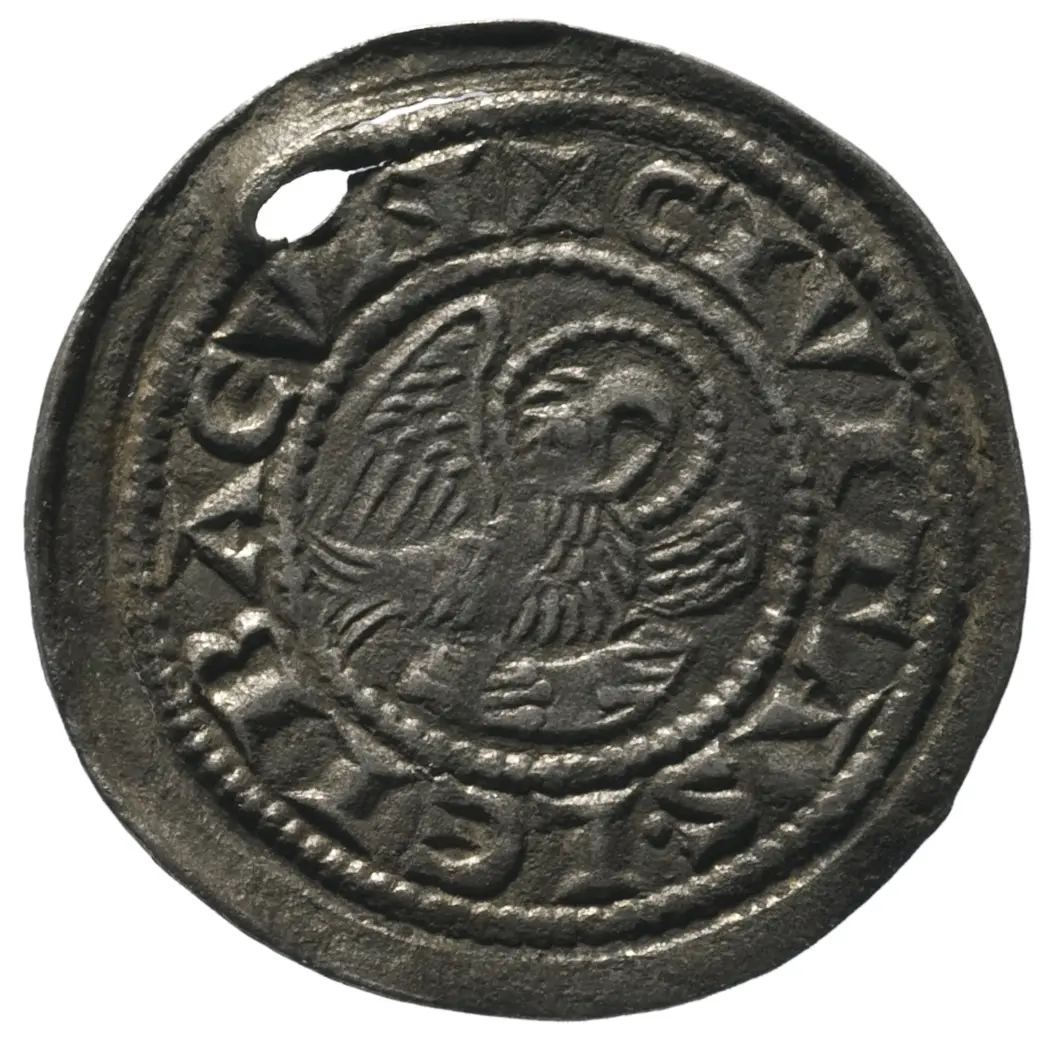 Herzöge von Kärnten / Herren von Krain: Bernhard (1202–1256)