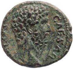 Lucius Aelius