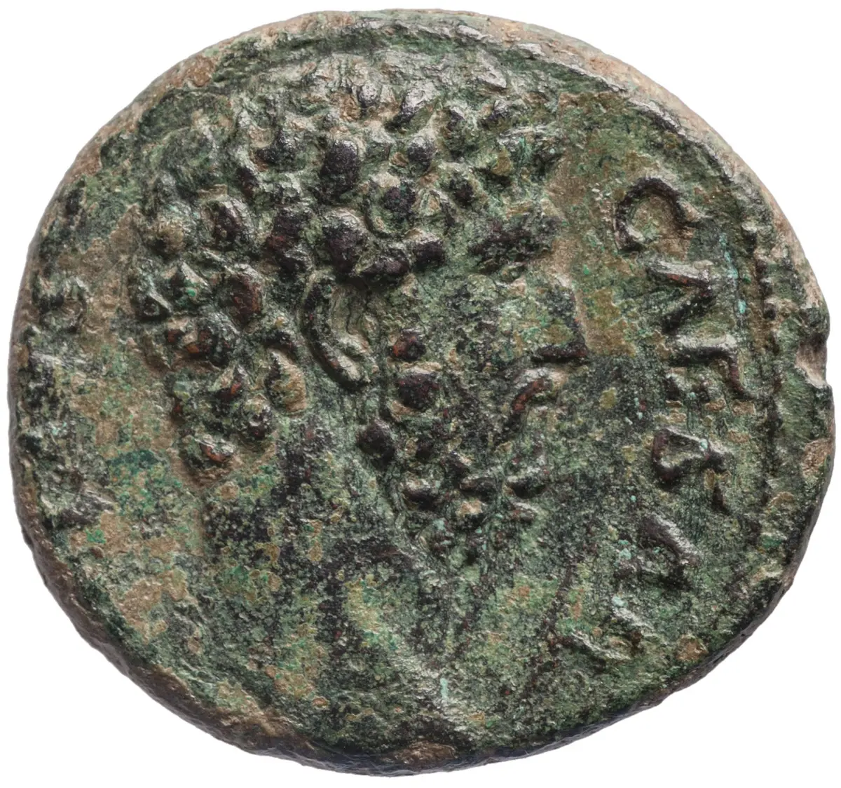 Lucius Aelius