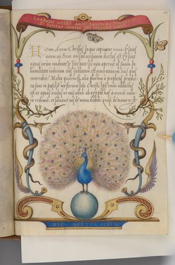 Schriftmusterbuch; 127 Blatt Pergament