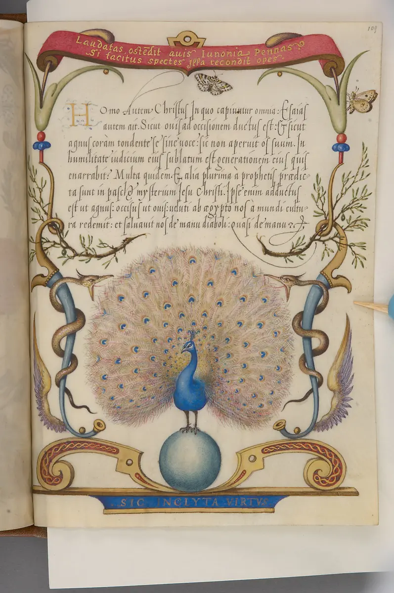 Schriftmusterbuch; 127 Blatt Pergament