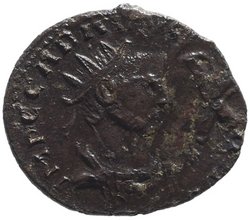 Carausius