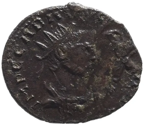 Carausius