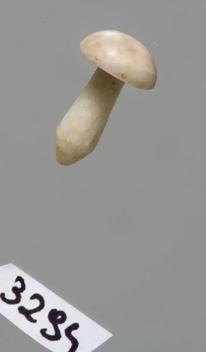 Ohrpflock