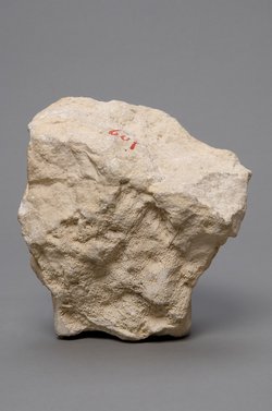 Relieffragment: Kopf einer Frau