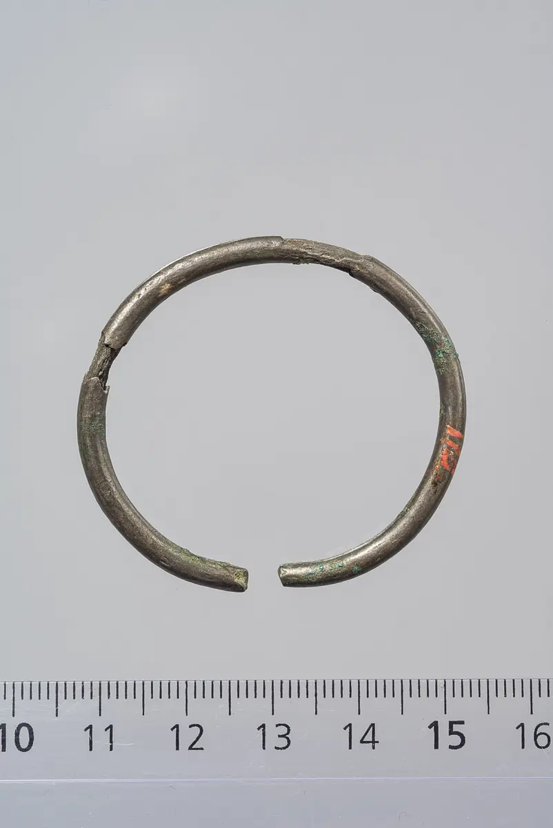 Ring (Teil eines Ohrringes?)