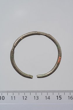 Ring (Teil eines Ohrringes?)