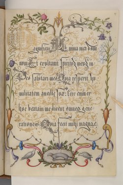 Schriftmusterbuch; 127 Blatt Pergament