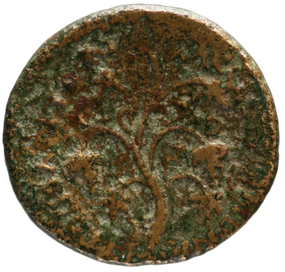 Amastris