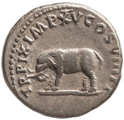 Titus
