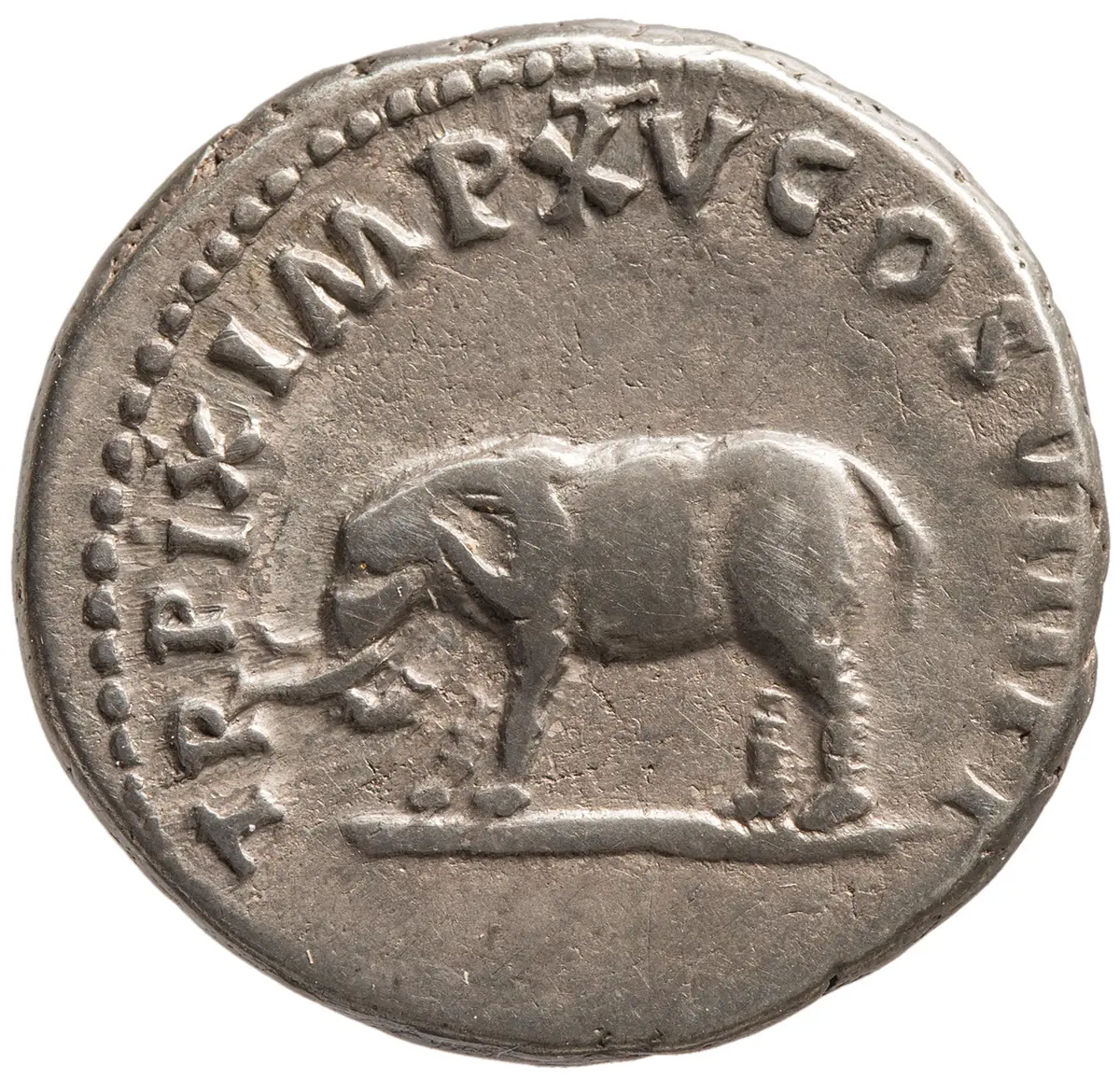 Titus