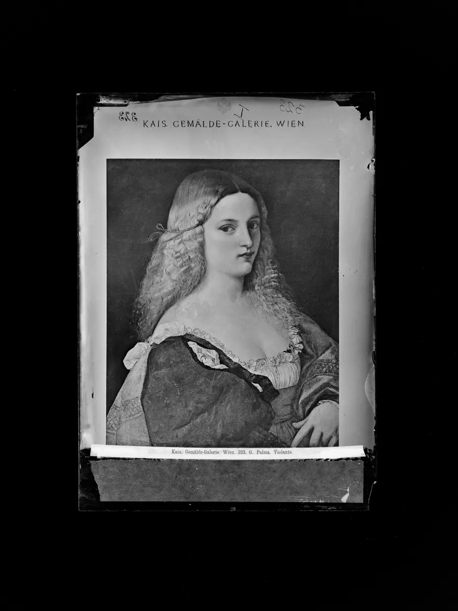 Violante