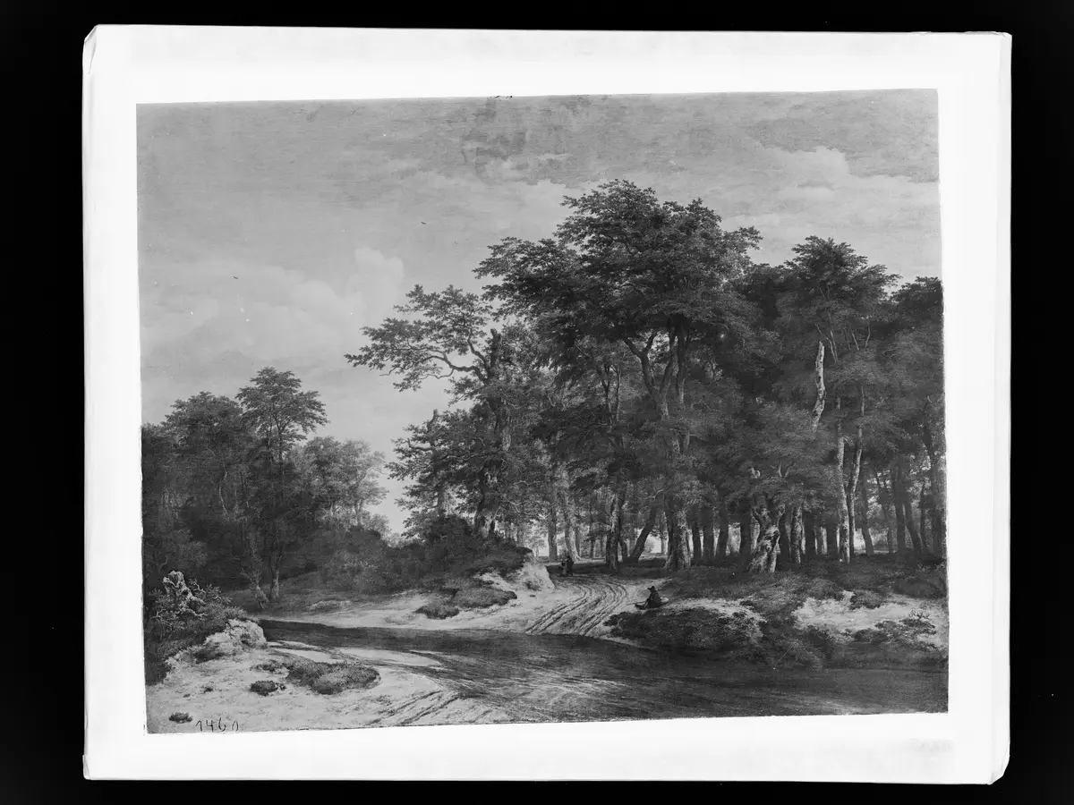 Der große Wald