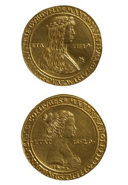 Habsburg: Kaiser Maximilian I. / Maria von Burgund (dessen erste Gemahlin)