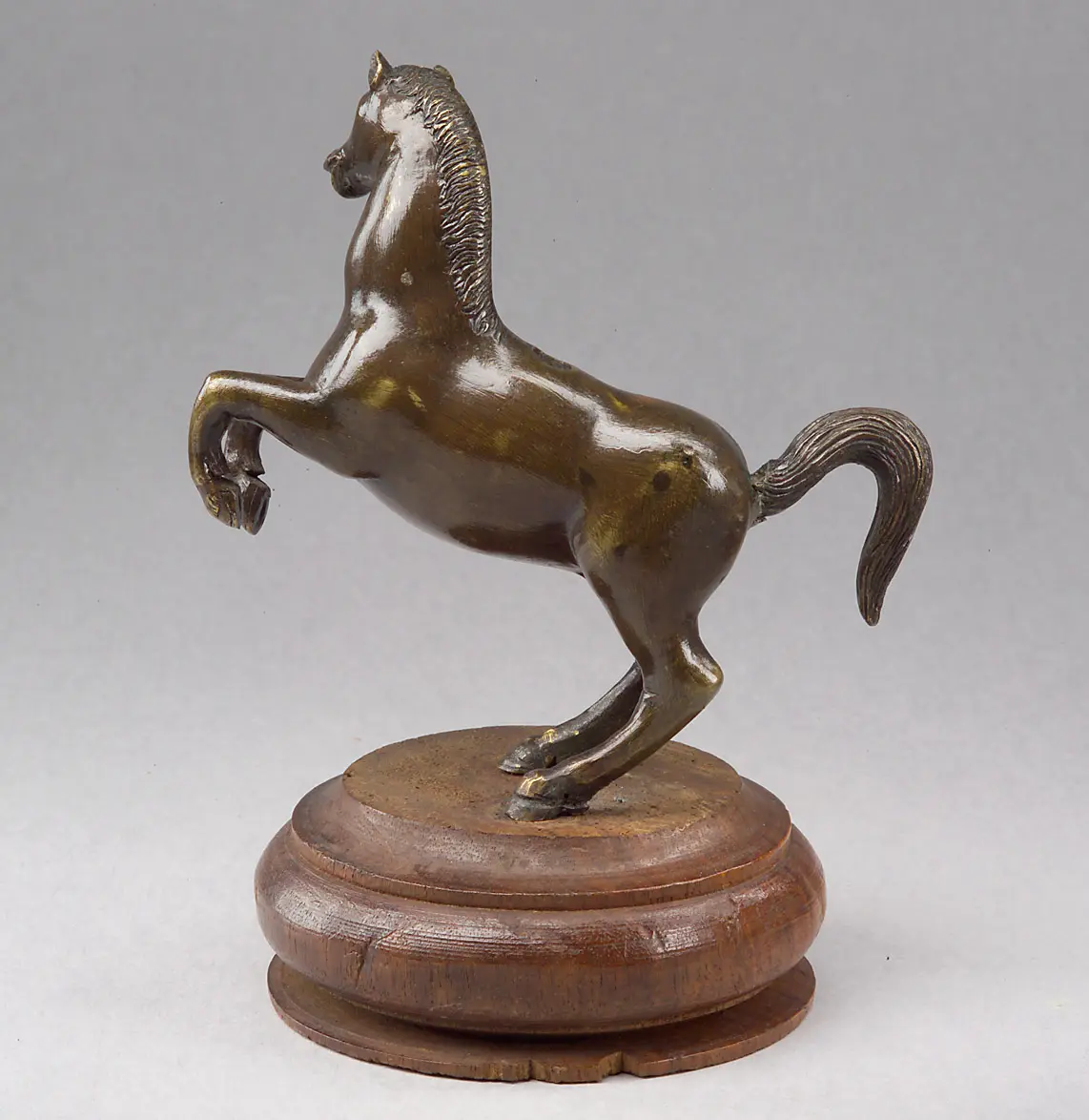 Pferd, Bronze, Kleinbronze, Pferd in der Levade