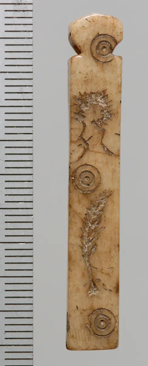 Tessera nummularia