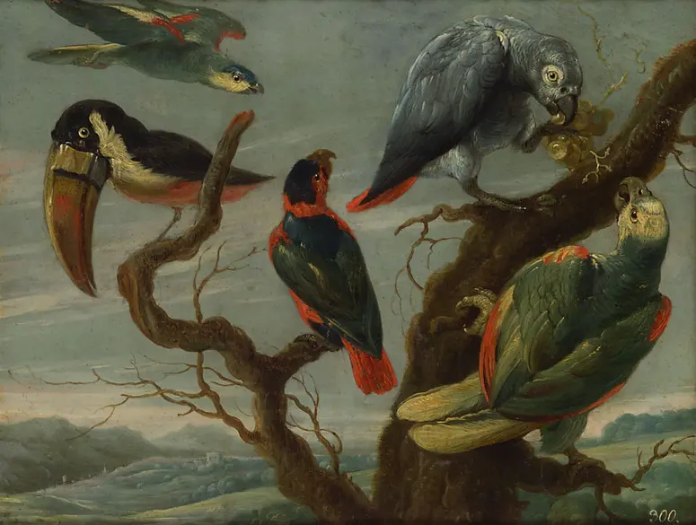 Vögel (Papageien)