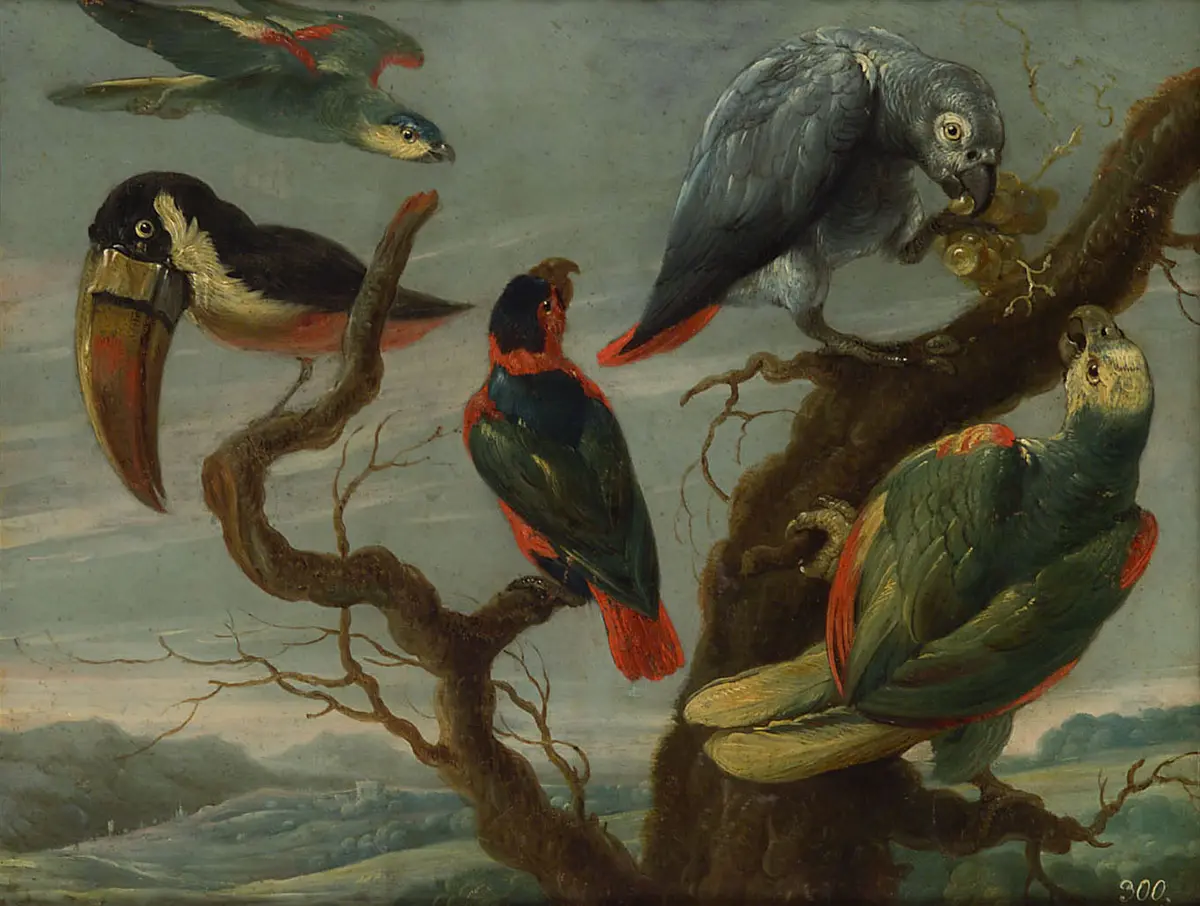 Vögel (Papageien)