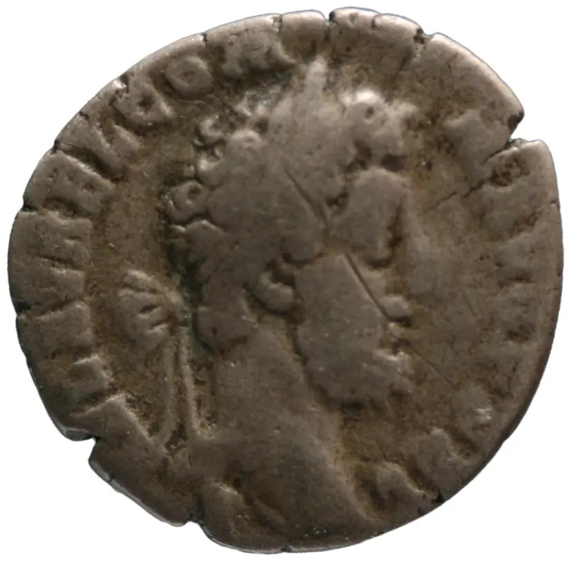 Commodus