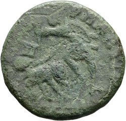 Constantius Gallus