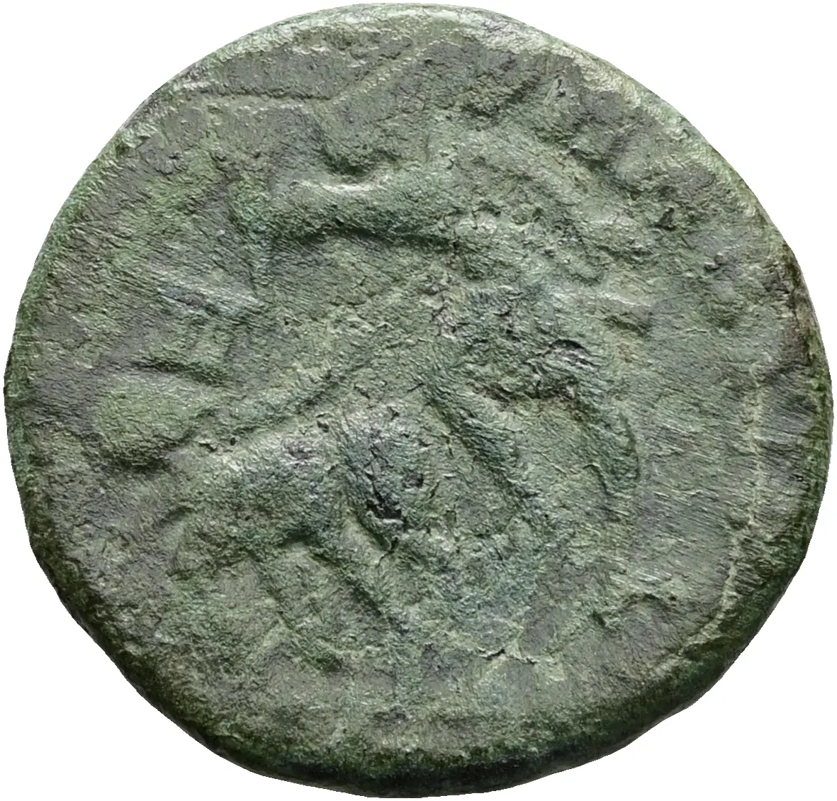 Constantius Gallus