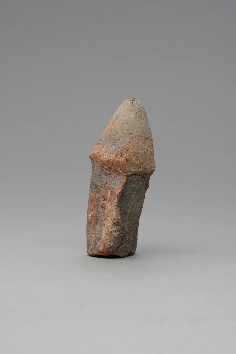 Phallus, fragmentiert