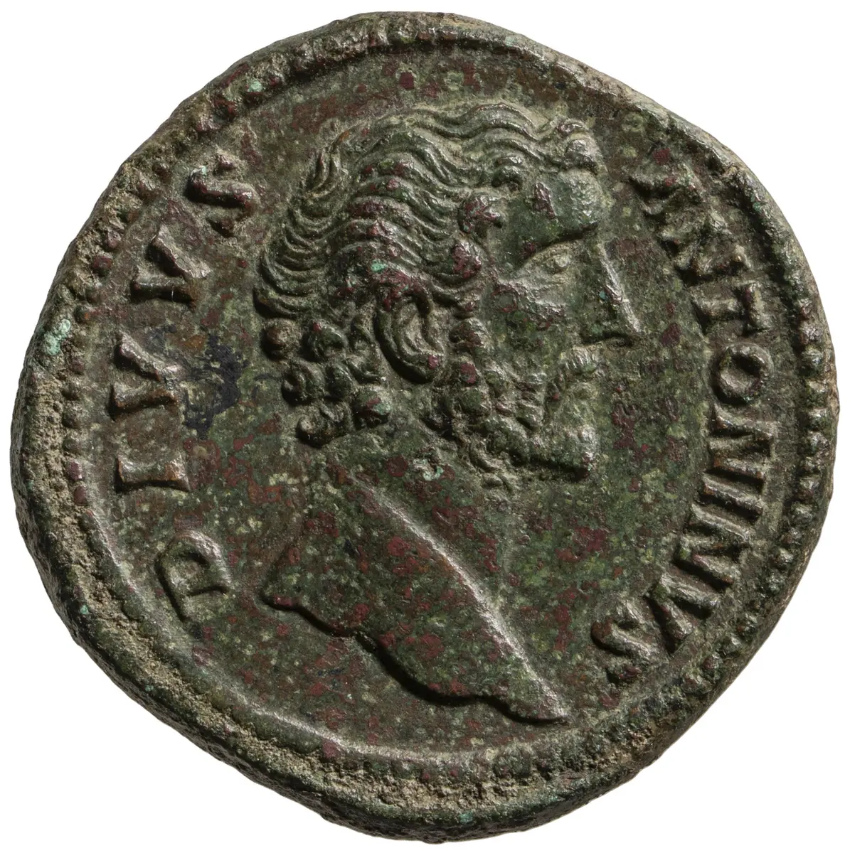 Divus Antoninus Pius