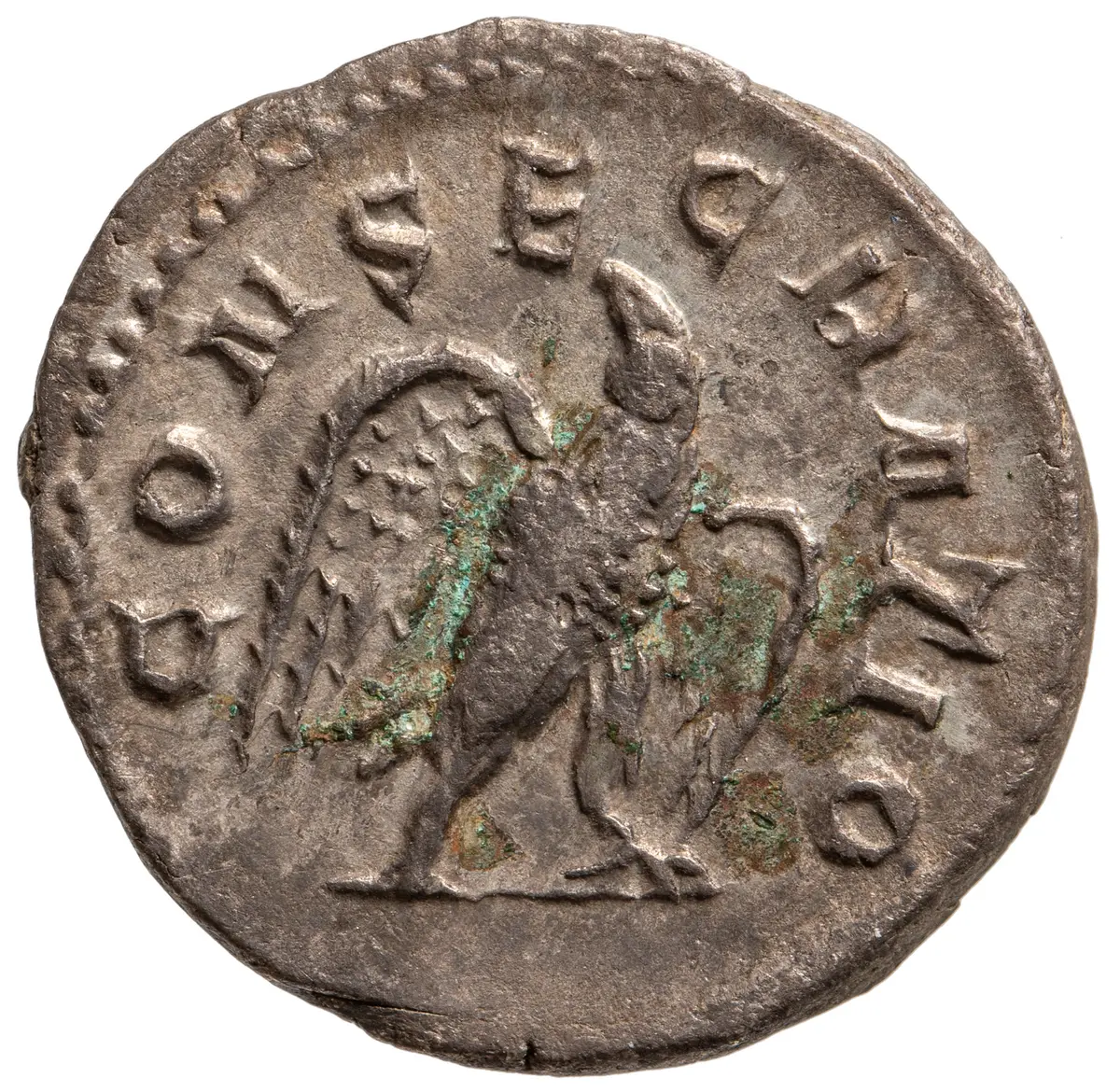 Divus Vespasianus