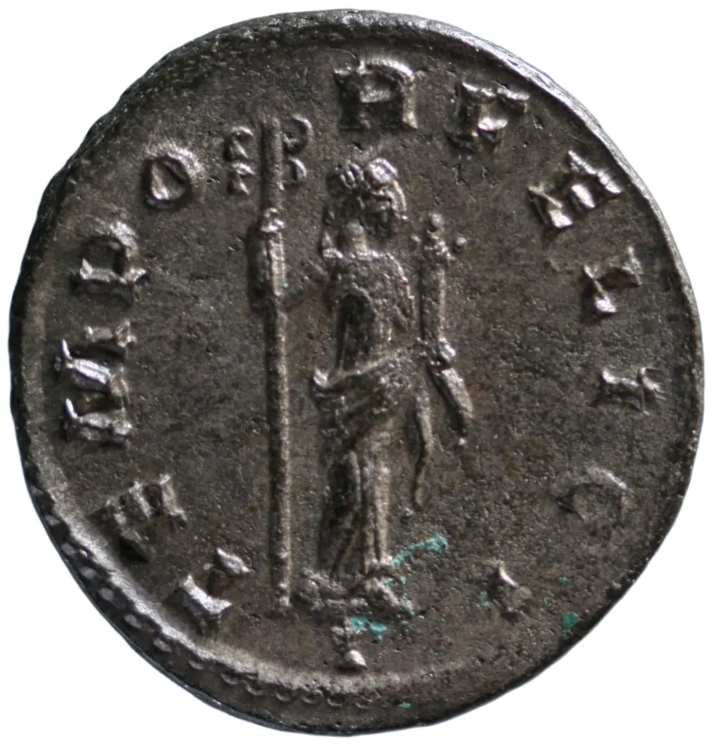 Probus