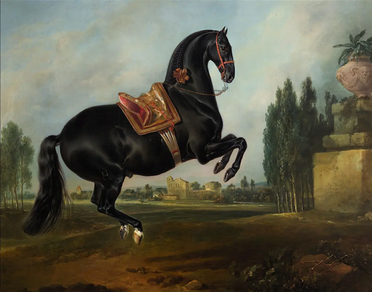 Kladruber Hengst 
