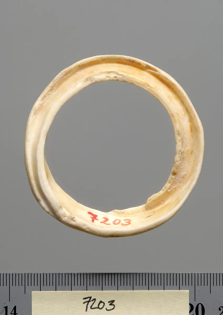 Armring