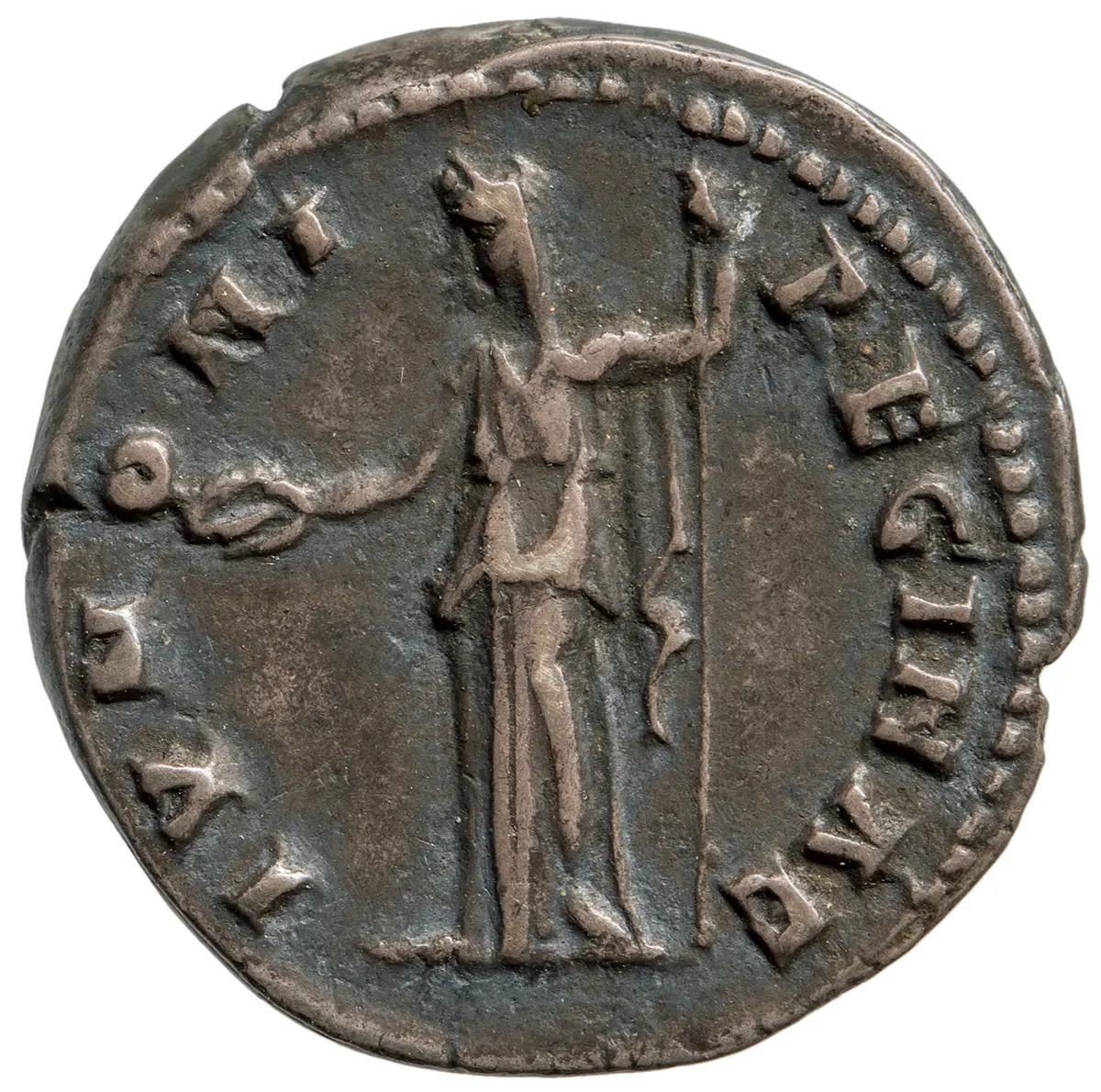 Sabina