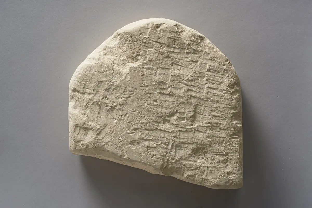 Fragment einer Apis-Stele mit demotischer Inschrift