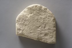 Fragment einer Apis-Stele mit demotischer Inschrift