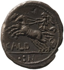 Röm. Republik: C. Coelius Caldus